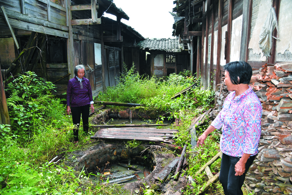 远山的回声书本,远山的回声