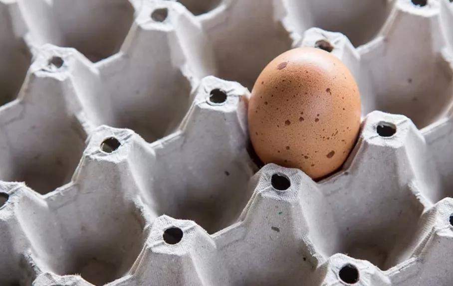 鸡蛋上有粪便是什么原因,超市的鸡蛋为什么没有鸡屎
