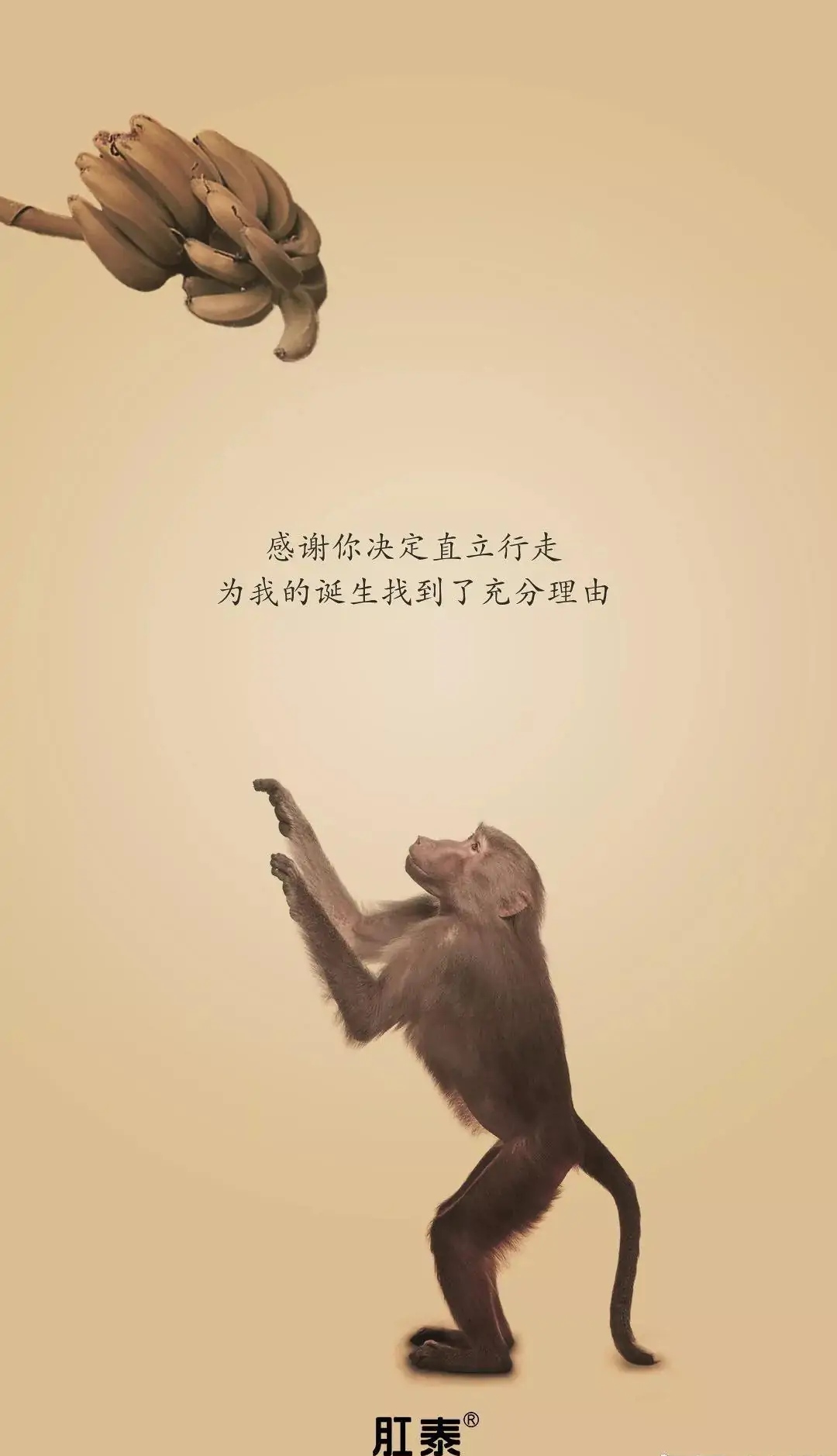 感恩节文案,杜蕾斯依旧没让大家失望!肛泰的文案厉害了!