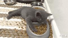 搞笑超市gif,超市减价的搞笑视频