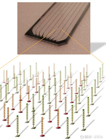 全场硬菜！分子诊断技术全解析