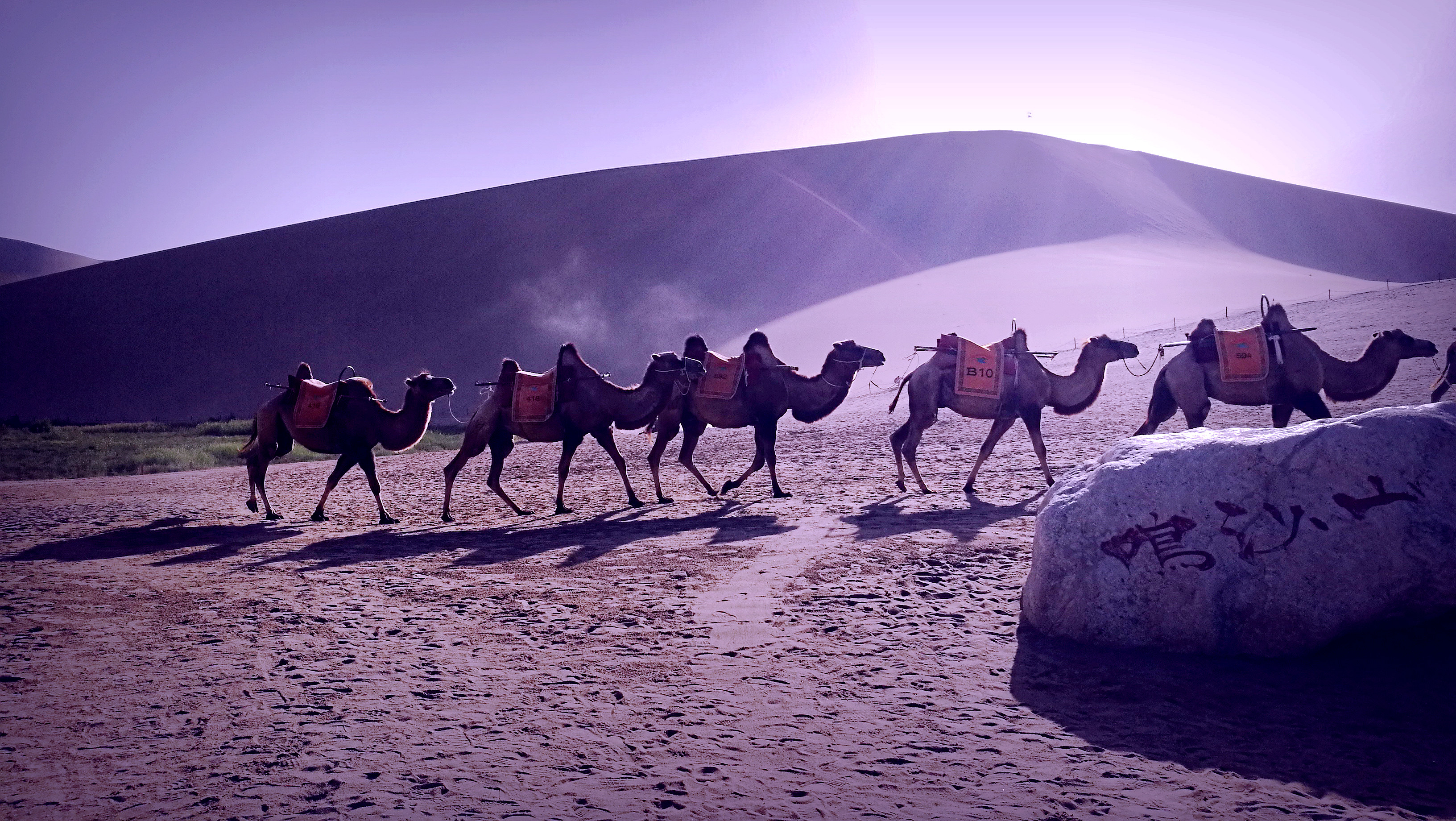 摄影师田晓：从镜头中寻找新感觉