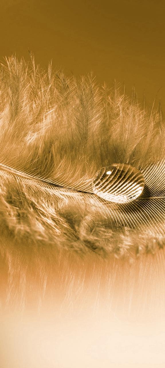 iphone裸眼3d壁纸,超逼真的裸眼3d壁纸手机