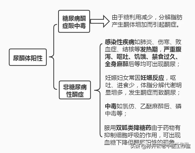 尿液检查白细胞和尿蛋白一样吗,尿蛋白定量检查的临床意义是什么
