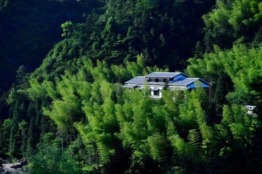 楠溪江好的精品民宿哪家比较好,楠溪江民宿客栈排名前十