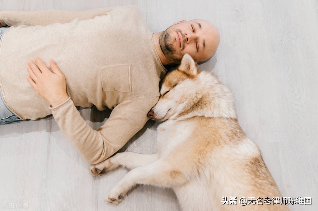 小区草皮允许遛宠物吗,小区里狗跑出去能回来吗