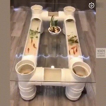 搞笑动图gif高清,搞笑动图gif微信表情包