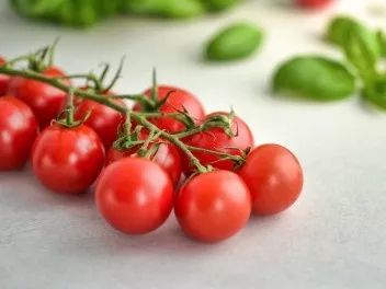 月瘦20斤不用节食不用运动,月瘦10斤运动计划不跑跳