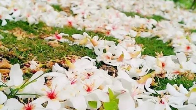 怎样使作文的立意深刻,作文如何点题突出中心