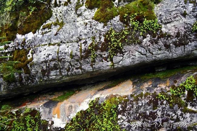 海螺沟温泉瑶池和贡嘎神汤哪家好,海螺沟天域瑶池温泉最新