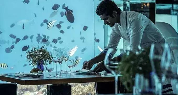 海底餐厅推荐大全,高级海底餐厅