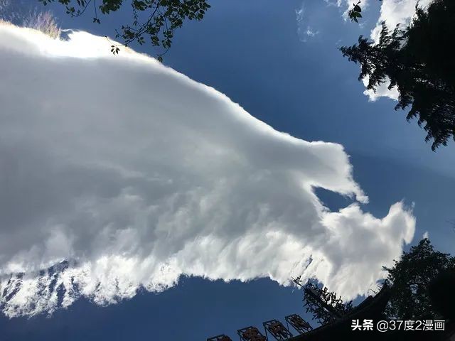 文言文中家禽的意思,古文中的家禽是什么意思