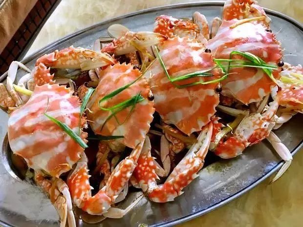 广东湛江这个城市怎么样,广东湛江市是沿海城市吗