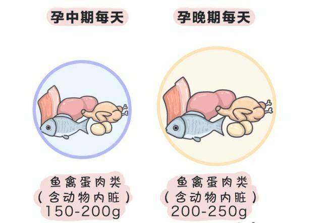 怀孕8个月孕检说胎儿发育头小,怀孕8个月医生说娃头大