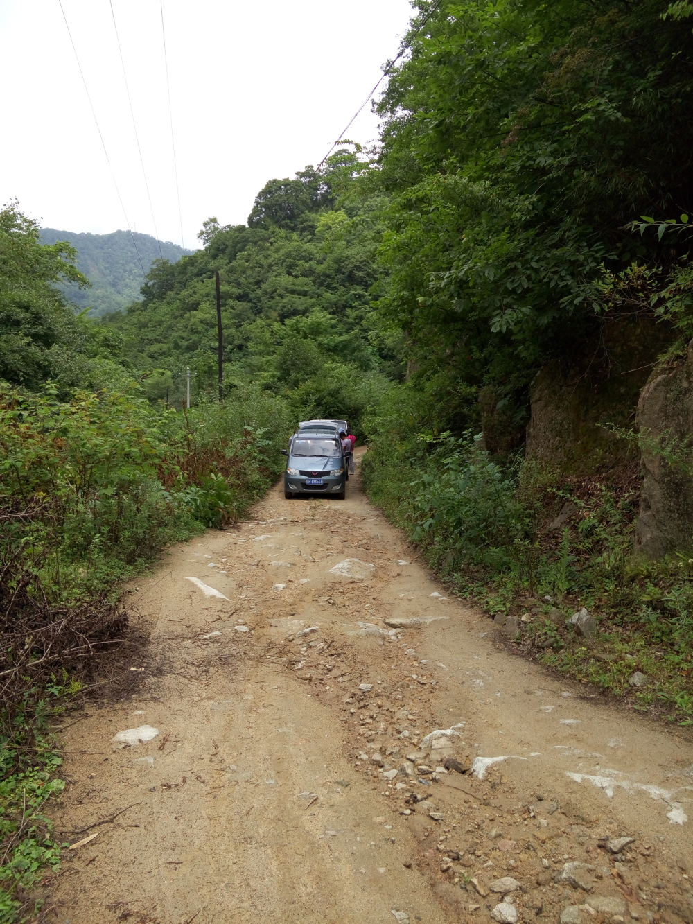 野蜂的口粮极为珍稀,一年等一次,再危险我们也要去“盗”一些!