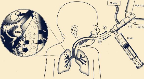 人能在液体中呼吸吗,我们人类可以在水下呼吸吗