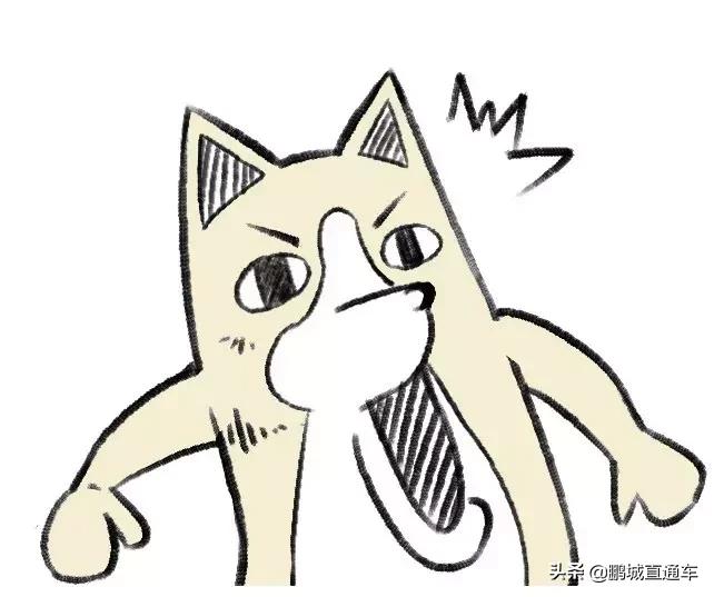 不用积分怎么入深圳户口,2022年深圳积分入户什么时候开始