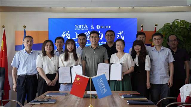 wiffa鍥介檯璐т唬鍚堜綔骞冲彴,wiffa鍥介檯璐т唬淇＄敤骞冲彴鍋氫粈涔堢殑