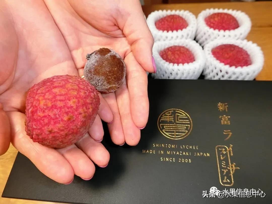 日本农业发达到什么程度?荔枝、香蕉、菠萝竟然用温室来种