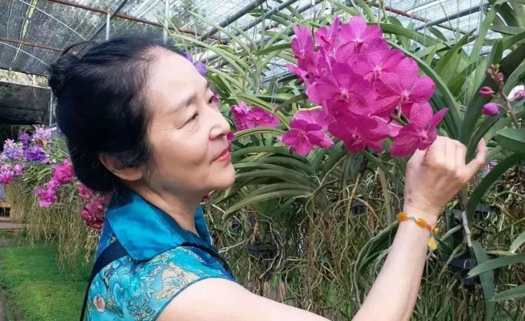 中国大妈拍照十大姿势抖音,中国大妈丝巾拍照姿势