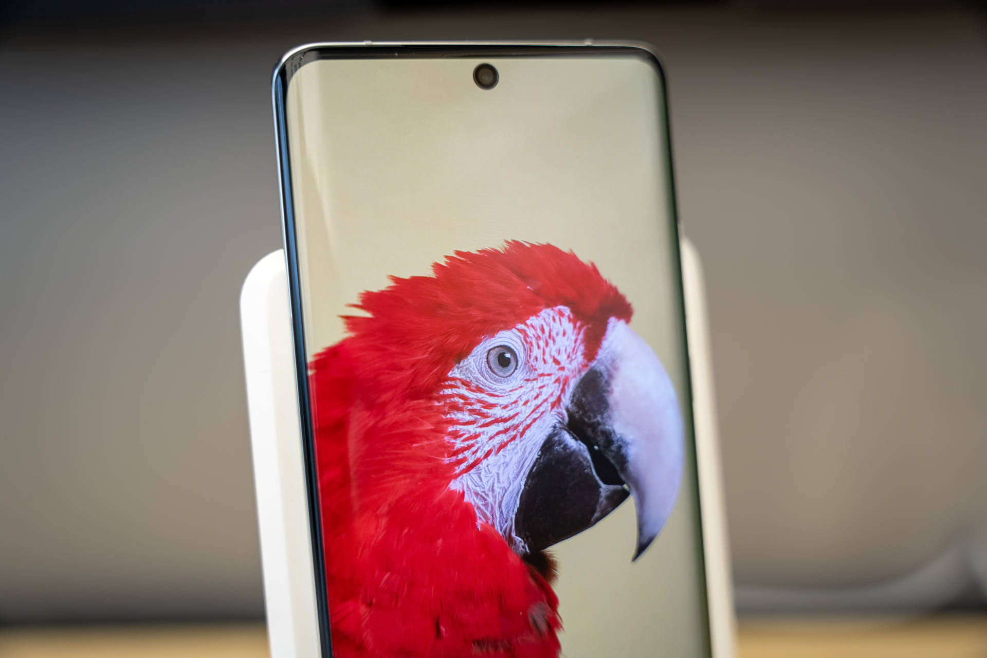 华为p50pro雪域白麒麟典藏版,华为p50pro典藏版测评