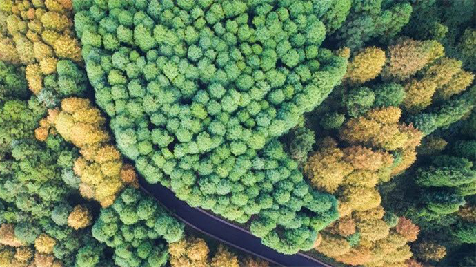 华为云四维地球遥感数据：以太空视角，智看时空变幻