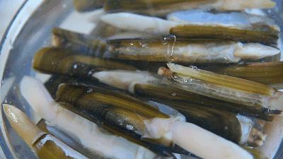 大呼辣椒大呼盐下一句怎么接,前方高能辣稽片头曲