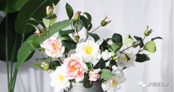 生日送花送什么花合适表达爱意,求婚送花送什么花合适