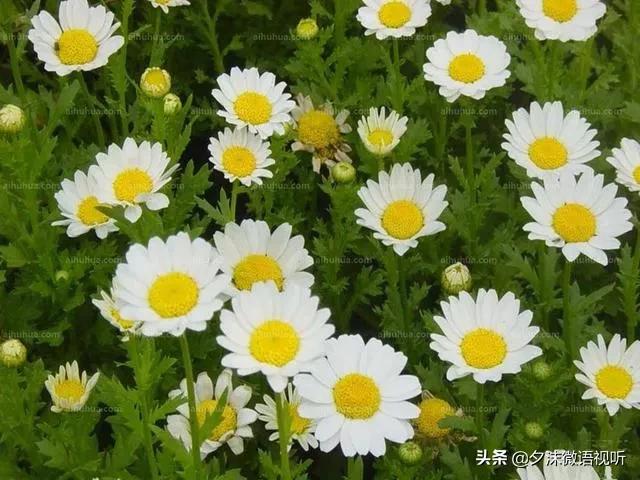 入冬的第一场大雨如约而至,一秒入冬让人措手不及还没买外套