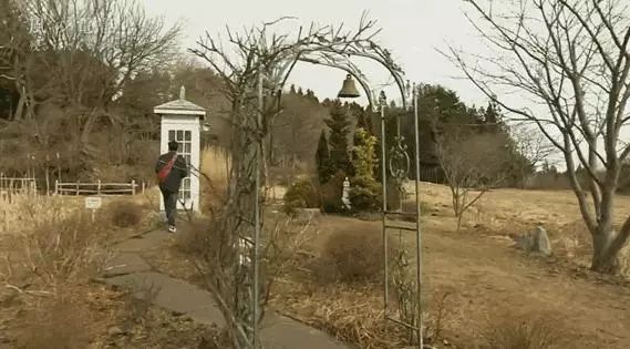 日本高分纪录片免费观看,日本的高分纪录片