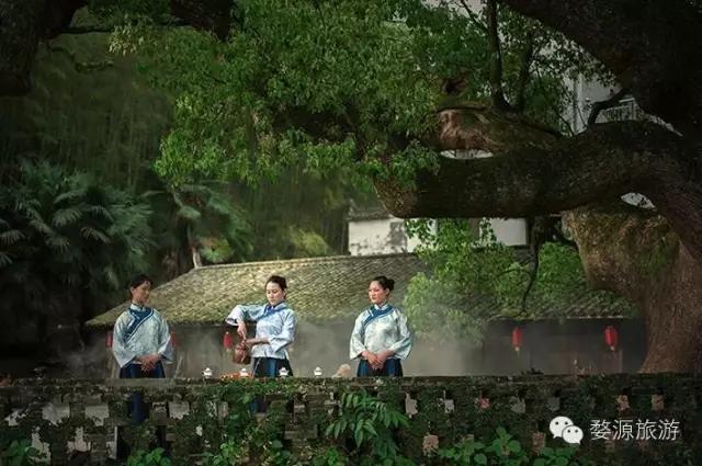 五一去婺源千古茶园,婺源茶文化旅游路线攻略