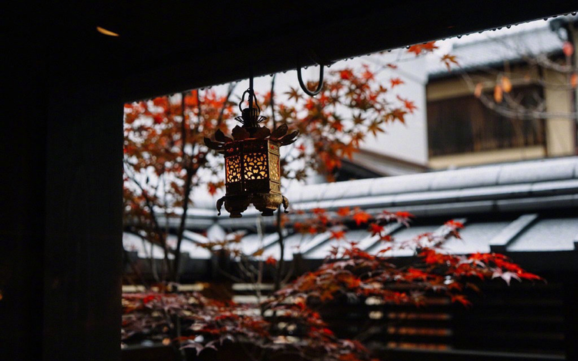 金牛座怎么跟对象解释金牛的缺点,金牛座跟金牛座怎么相处