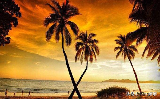 “三个沙虫一盘菜，甘蔗火上烤着卖”，海南到底有多野