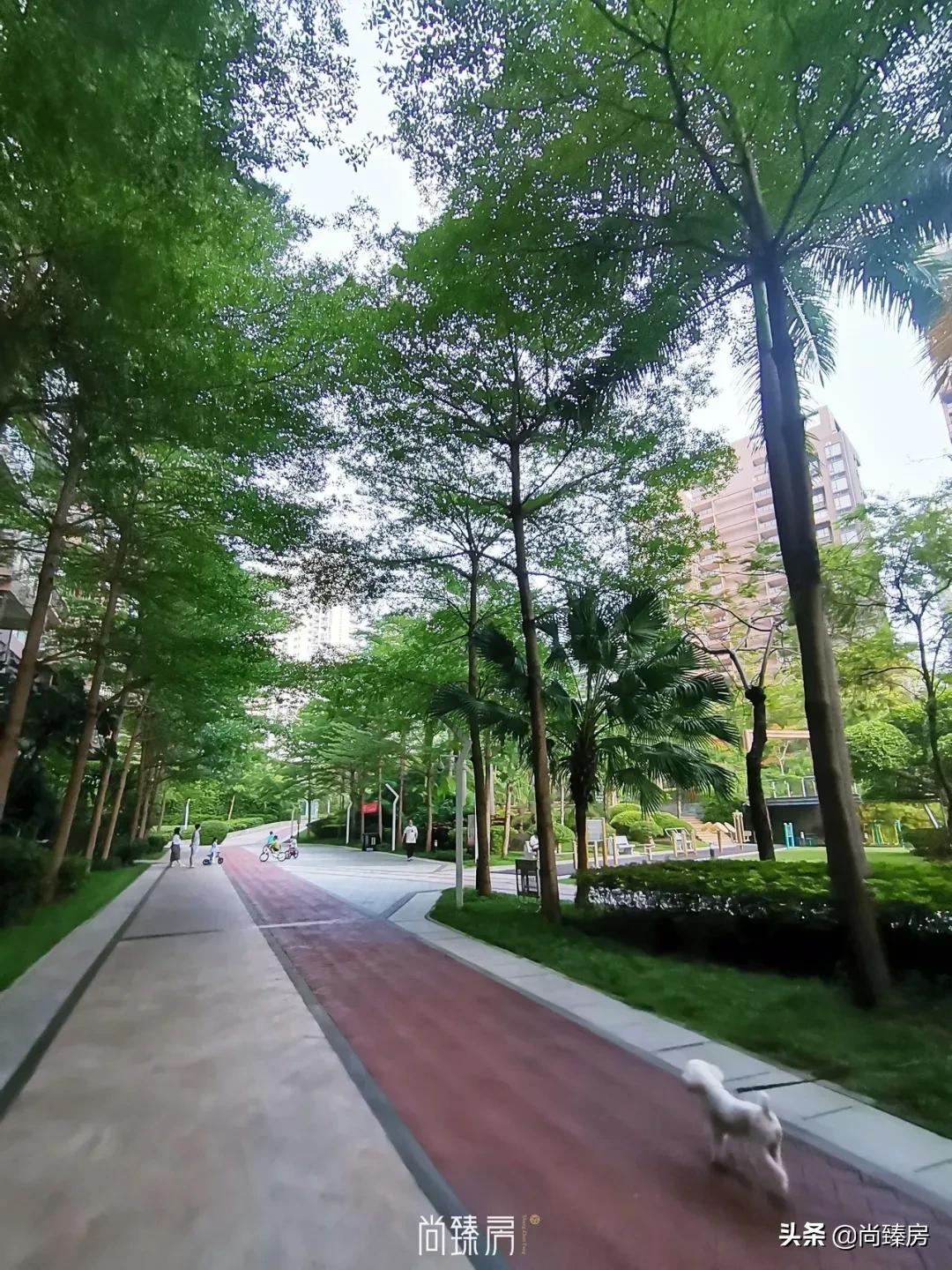 三湘海尚君汇新天,君汇新天三湘海尚