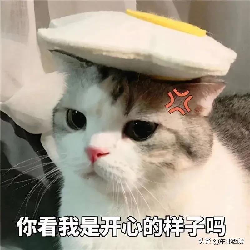 太离谱了，还我酷飒女精英啊