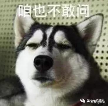 比小团团还火的女主播乔碧萝,斗鱼一姐小团团视频