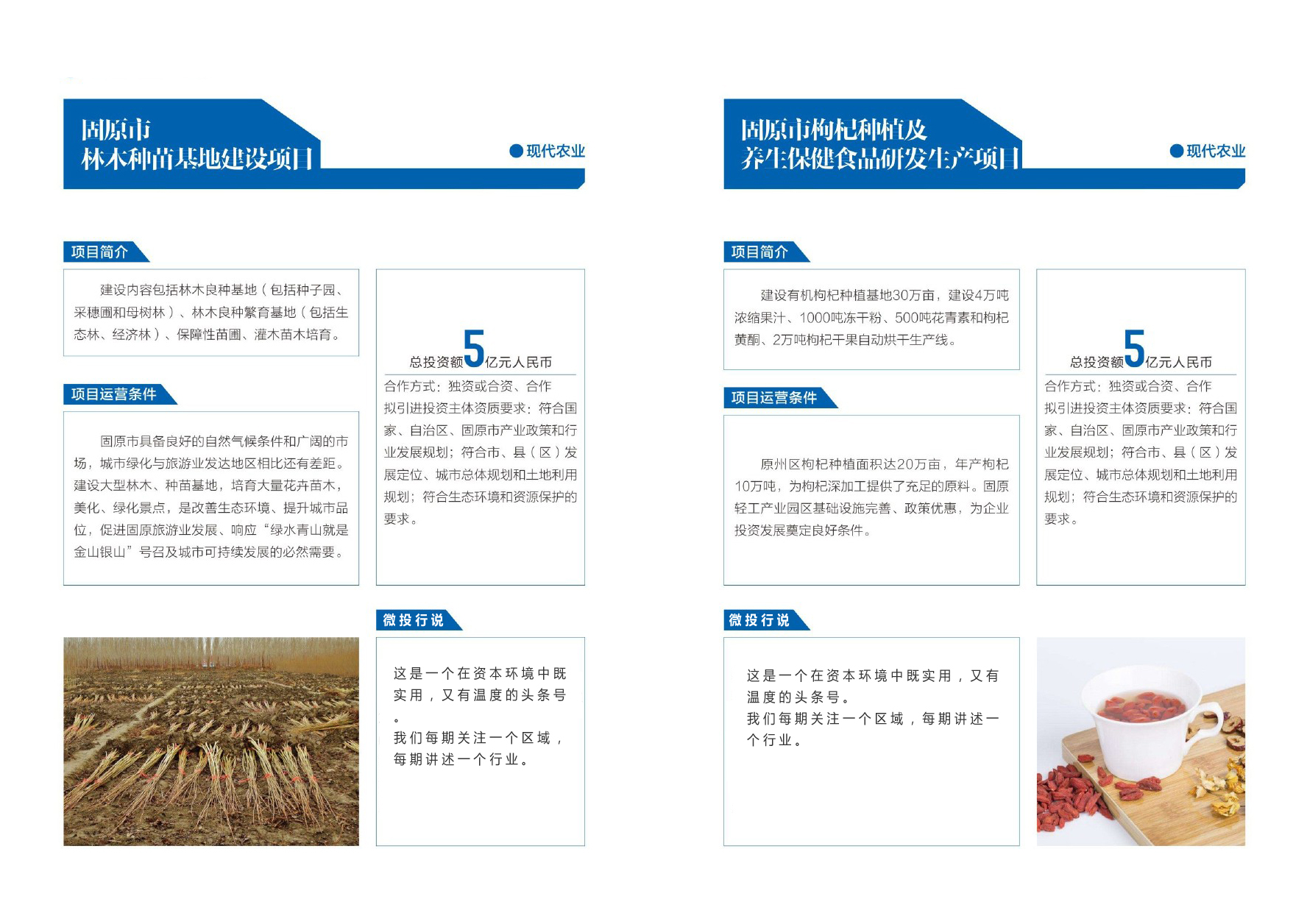 优选宁夏23个农业投资项目丨墨瑞鳕鱼、种子、巴士奶、牡丹、冷蔬