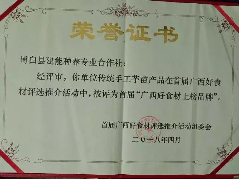 广西小伙年薪百万改行回乡养猪,农村小伙放弃高薪回农村养鸡