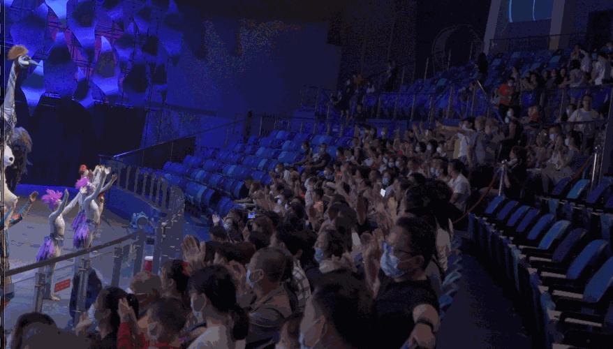 上九天揽月，下五洋捉鳖。看二孩老父亲如何带全家打卡亚特兰蒂斯