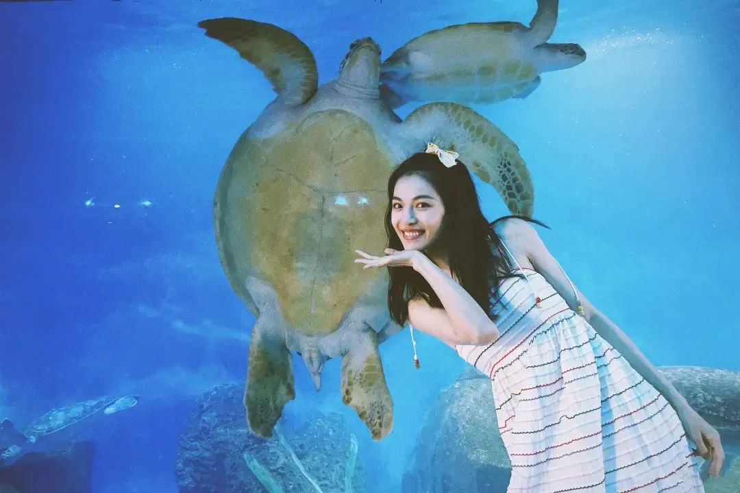 女明星穿的小众品牌,最时尚会穿的女明星