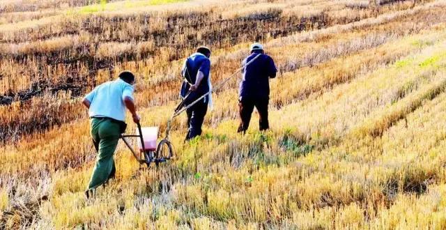 学挖机行业还值得入行吗,挖机入行