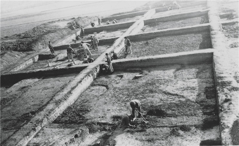 夏朝和二里头是什么,二里头和夏朝的关系