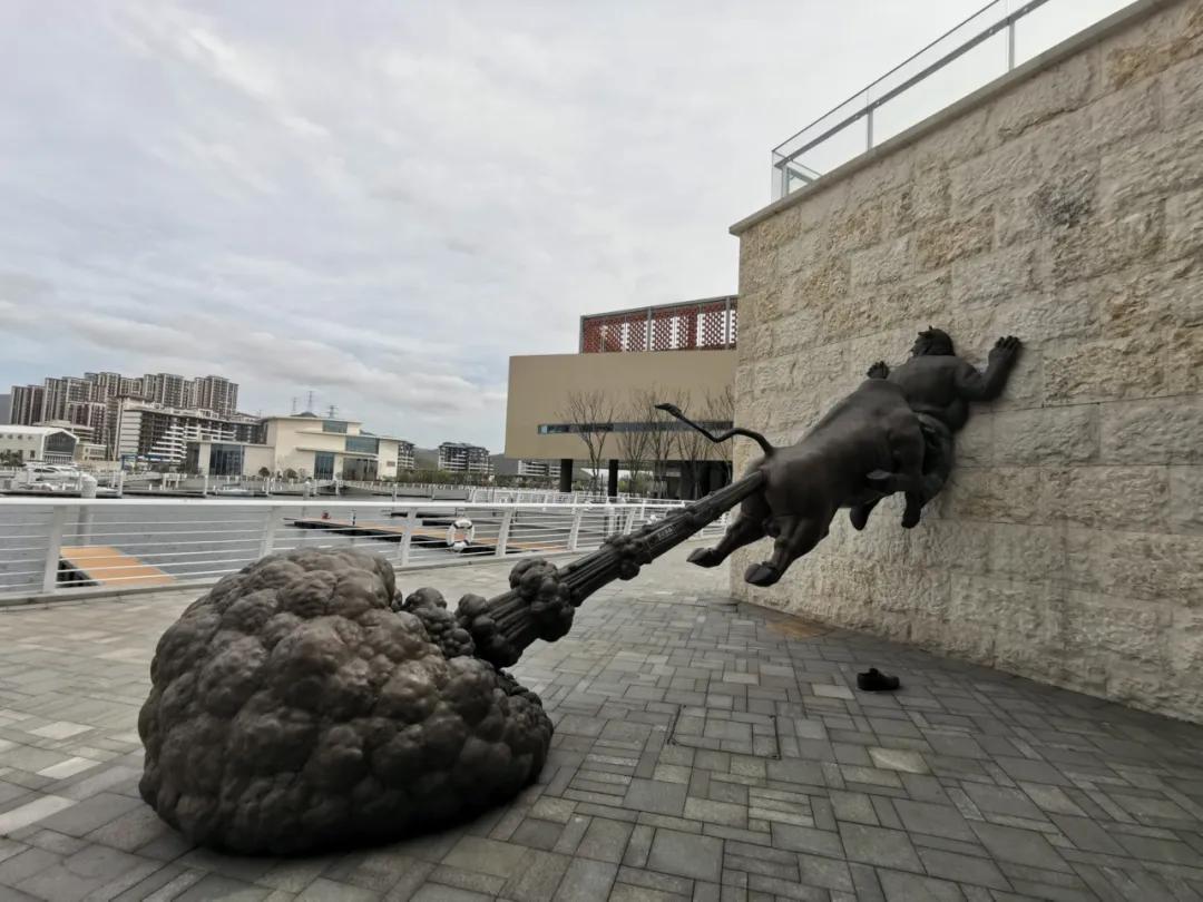 陈文令麦道夫最新信息 (陈文令对麦道夫的评价)