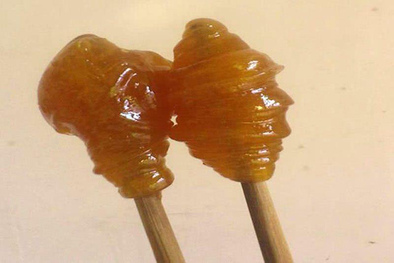 麦芽糖粘小米野钓效果怎么样,麦芽糖蘸小米钓鱼