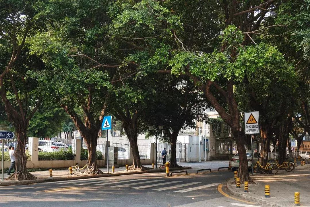 景甜经典片段,景甜童年照