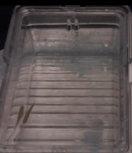 对生活提不起兴趣和体质有关系吗,对生活缺乏兴趣