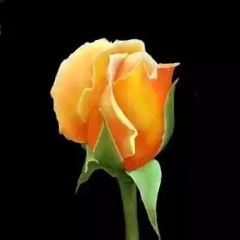 520情人节祝福送上真的太美了,最新的520情人节