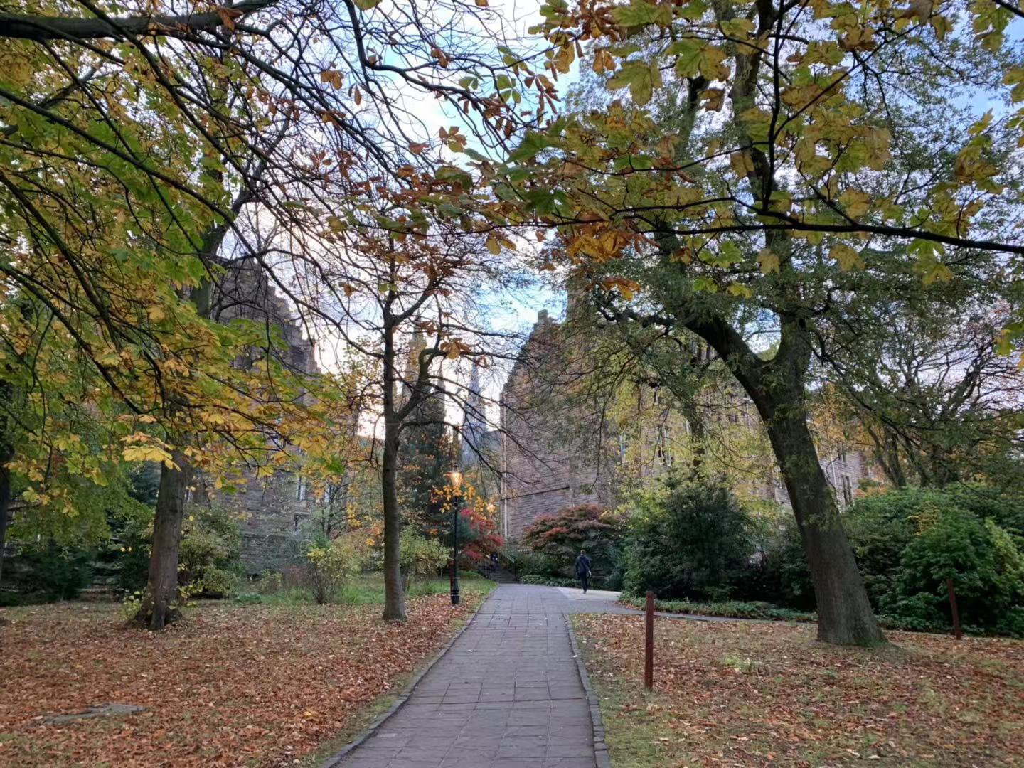 除了留学该怎么去英国,去英国留学读预科的好处
