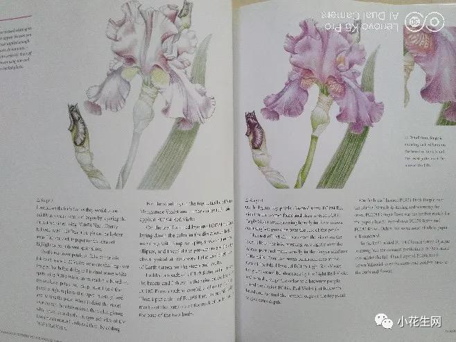 从零开始学绘画必备的画,从零开始学绘画第一步教程