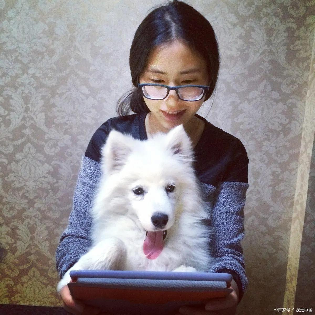 关于萨摩耶你不知道的冷知识